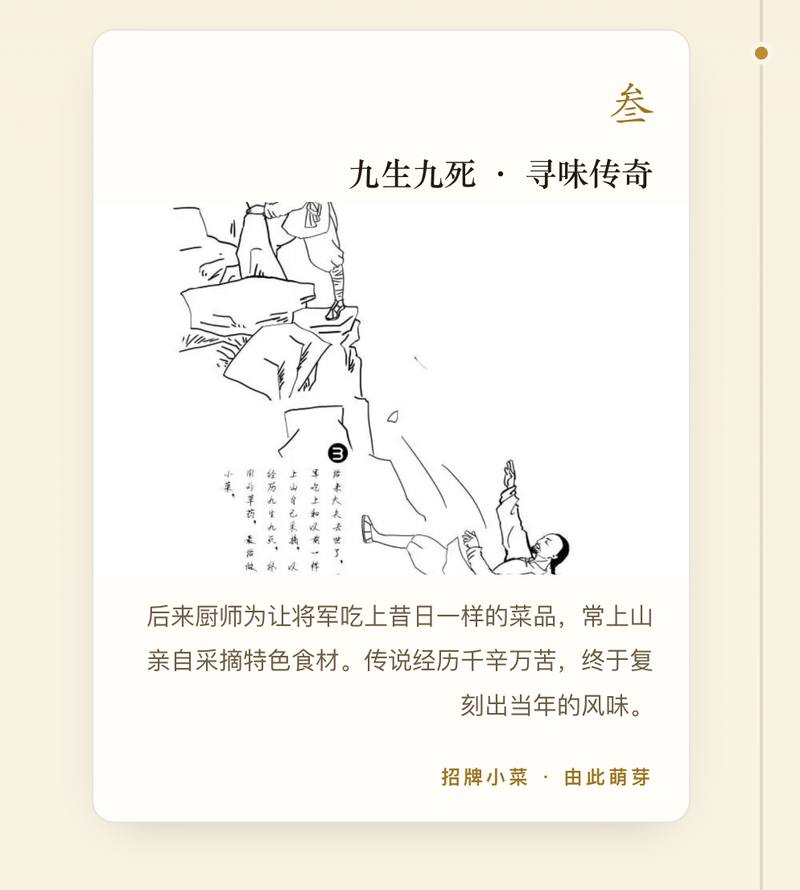 厨师上山采集特色食材