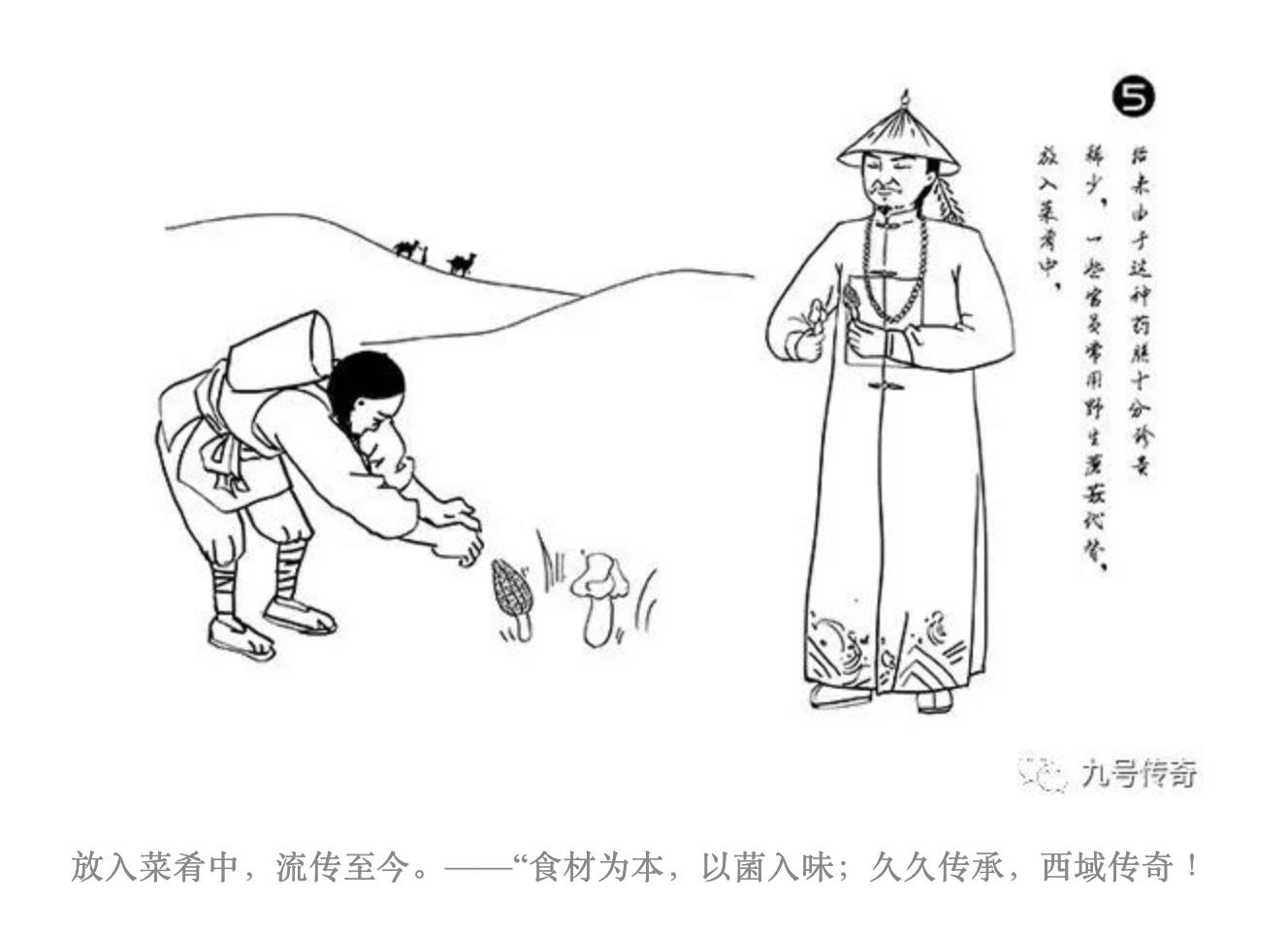 以野生蘑菇入馔